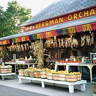 photo of Bergman Orchards